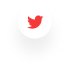 twitter icon